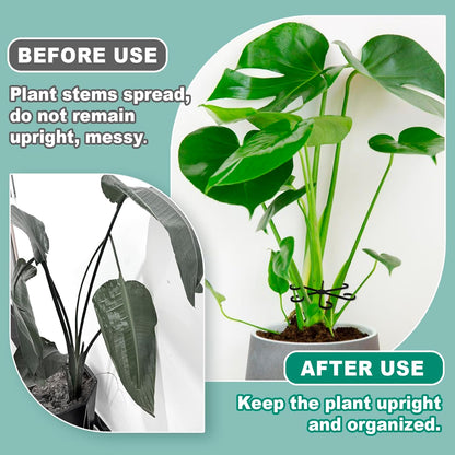 4PCS Plant Stem Support, 4 Sizes Climbing Houseplant Stem Holders, Plastic Reusable Flower Trellis Stem Hook Plant Care Growth Accessories for Flower Plants Indoor Outdoor - Black