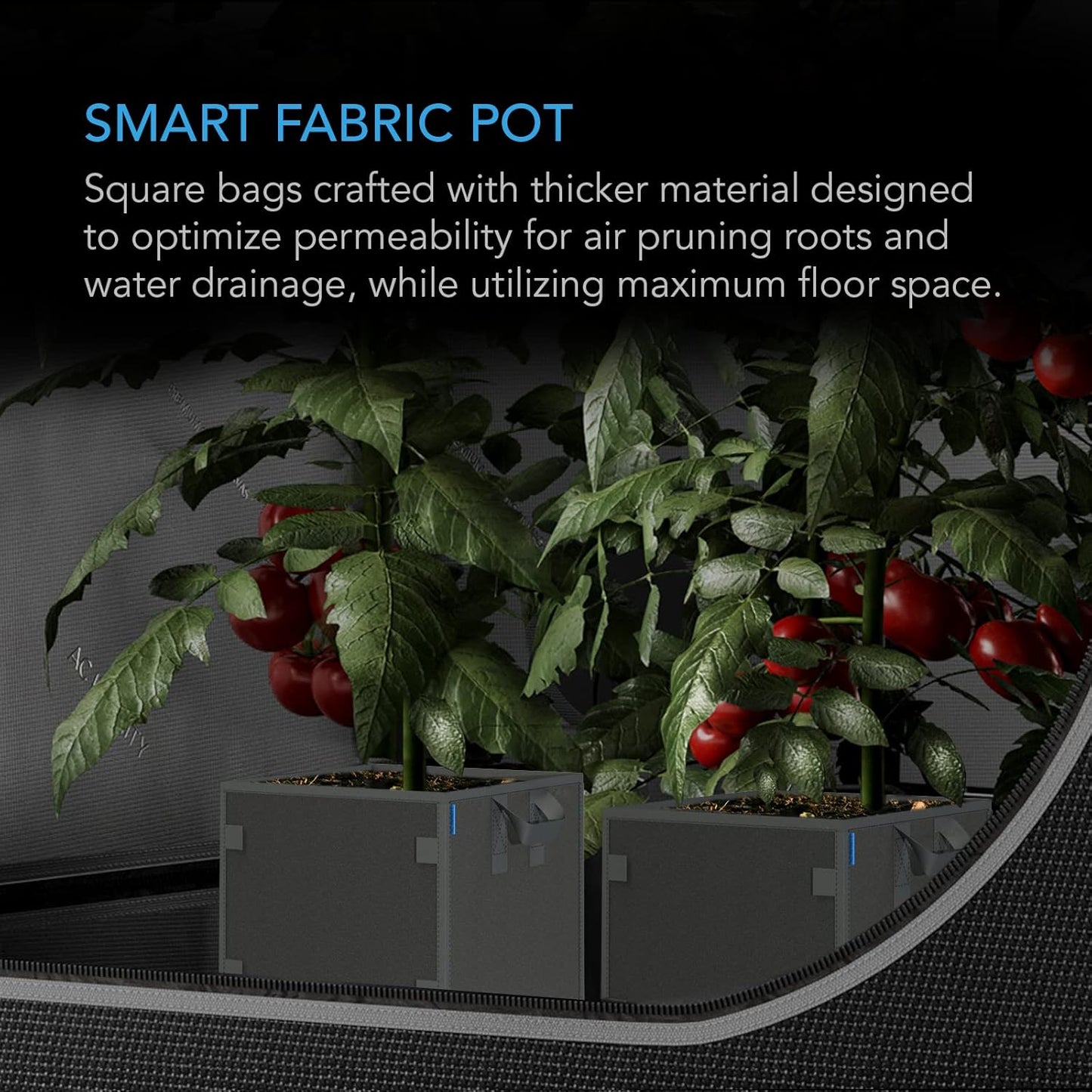 AC Infinity Square Heavy Duty Fabric Pots, 7 Gallon Aeration Reusable Grow Bags 5-Pack with 500G Thick Nonwoven Fabric and Plant Stake Loops, for Garden Growing Fruits, Vegetables, and Flowers