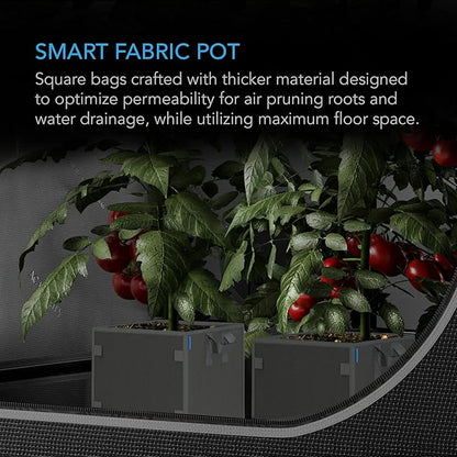 AC Infinity Square Heavy Duty Fabric Pots, 3 Gallon Aeration Reusable Grow Bags 5-Pack with 500G Thick Nonwoven Fabric and Plant Stake Loops, for Garden Growing Fruits, Vegetables, and Flowers