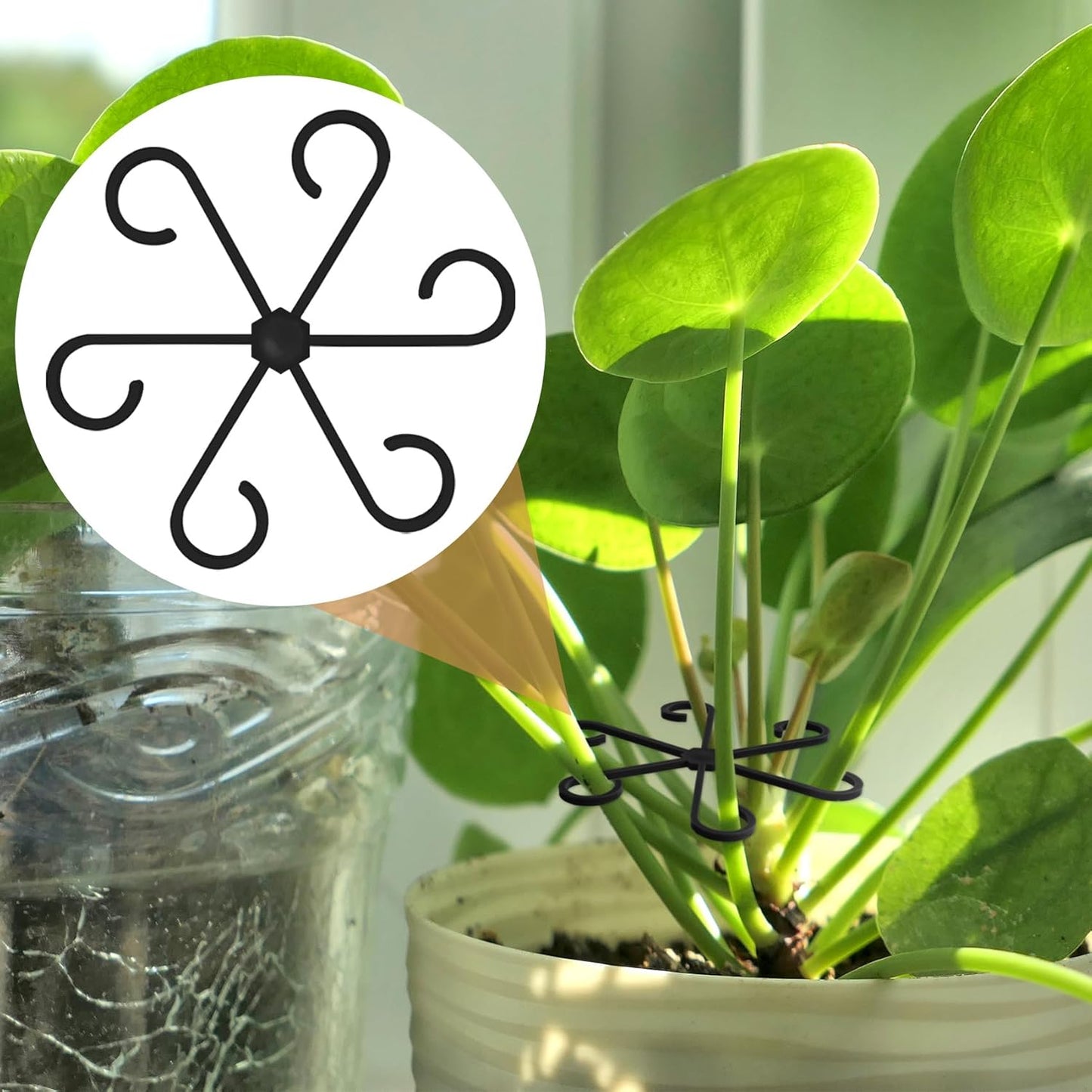 4PCS Plant Stem Support, 2 Sizes Climbing Houseplant Stem Holders, Plastic Reusable Flower Trellis Stem Hook Plant Care Growth Accessories for Flower Plants Indoor Outdoor - Black, 5.28"/4.55"