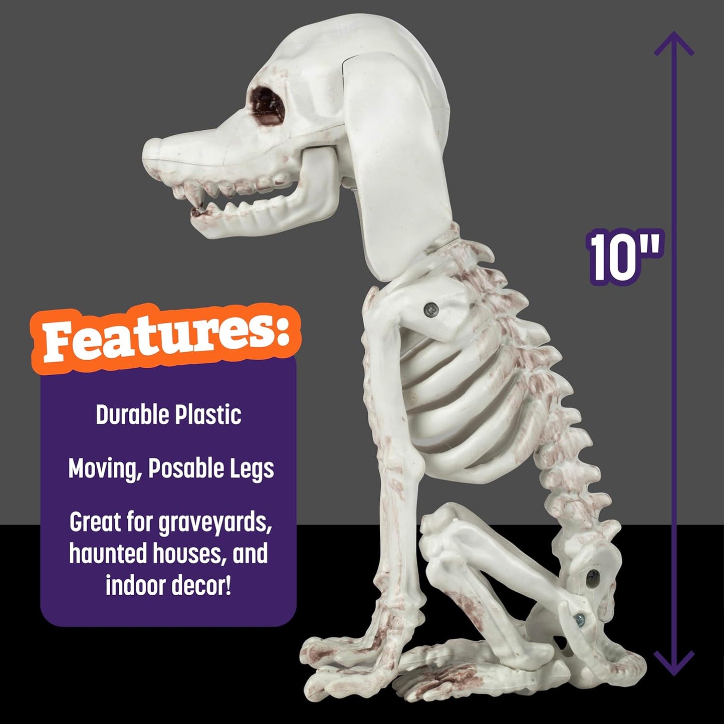 Halloween Dog Skeleton 3 Pack Indoor/Outdoor Decorations- 10" Plastic Animal Bones for Party Table Decor, Haunted Houses, & Graveyards- A Trio of Unique Canine Skeletons- Durable and Detailed Props