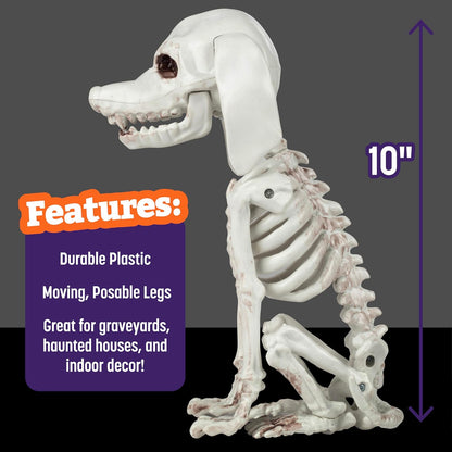 Halloween Dog Skeleton 3 Pack Indoor/Outdoor Decorations- 10" Plastic Animal Bones for Party Table Decor, Haunted Houses, & Graveyards- A Trio of Unique Canine Skeletons- Durable and Detailed Props