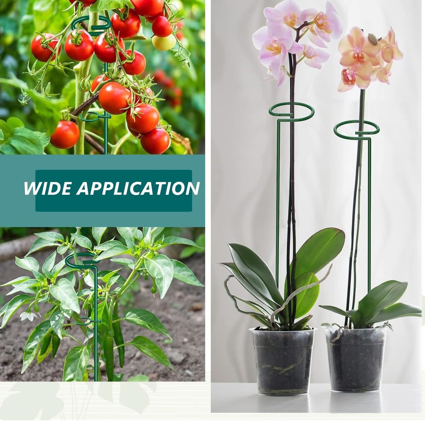 MAFONE 6 Pack 24inch Plant Support Stakes,Plant Stick for Two Sizes(12 or 24Inch) Garden Single Stem Flower Support Stake Plant Cage Support with 20pcs Clips and Plant Ties for Tomato Orchid Lily