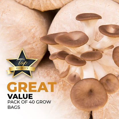 40 Pack, Mushroom Grow and Spawn Bags - Extra Thick Polypropylene Material, Tear Resistant - Size 13" x “4 x “4 with 0.2 Micron Filter Breathable - Spawn Rye