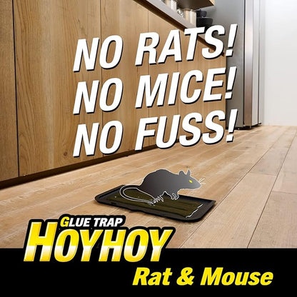 HOY HOY Regular Size Rat & Mouse Indoor/Outdoor Glue Trap (1 Pack)