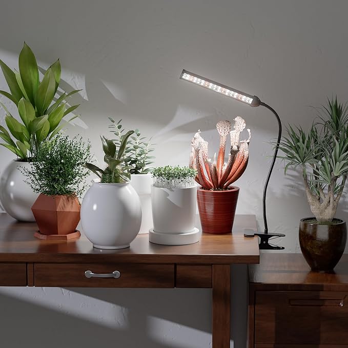 GooingTop Grow Light for Indoor Plants Growing,5000K White Full Spectrum Gooseneck Plant Lamp Clip-on Desk for Pot Plant Seed Starting,Dimmable with Auto Timer