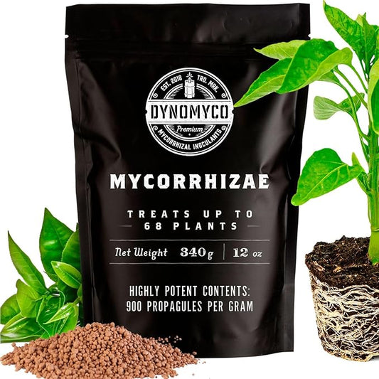 DYNOMYCO Mycorrhizal Inoculant - Plant Growth & Root Treatment, Concentrated Mycorrhiza Formula, Boosts Nutrient Uptake, Mycorrhizae Plant Food for Resilience & Fertilizer (340g / 12oz)