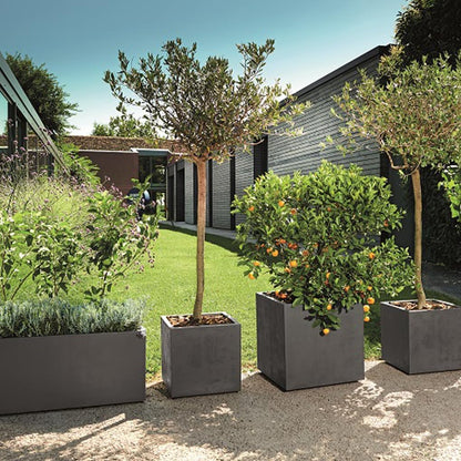 Deroma Millennium 10” Cube Planter | Light & Durable Plastic | Indoor or Outdoor Square Pot for Patio/Porch | Includes Water Reserve & Drain Plug | Trendy Planter for Plants, Flowers, Garden | Grey