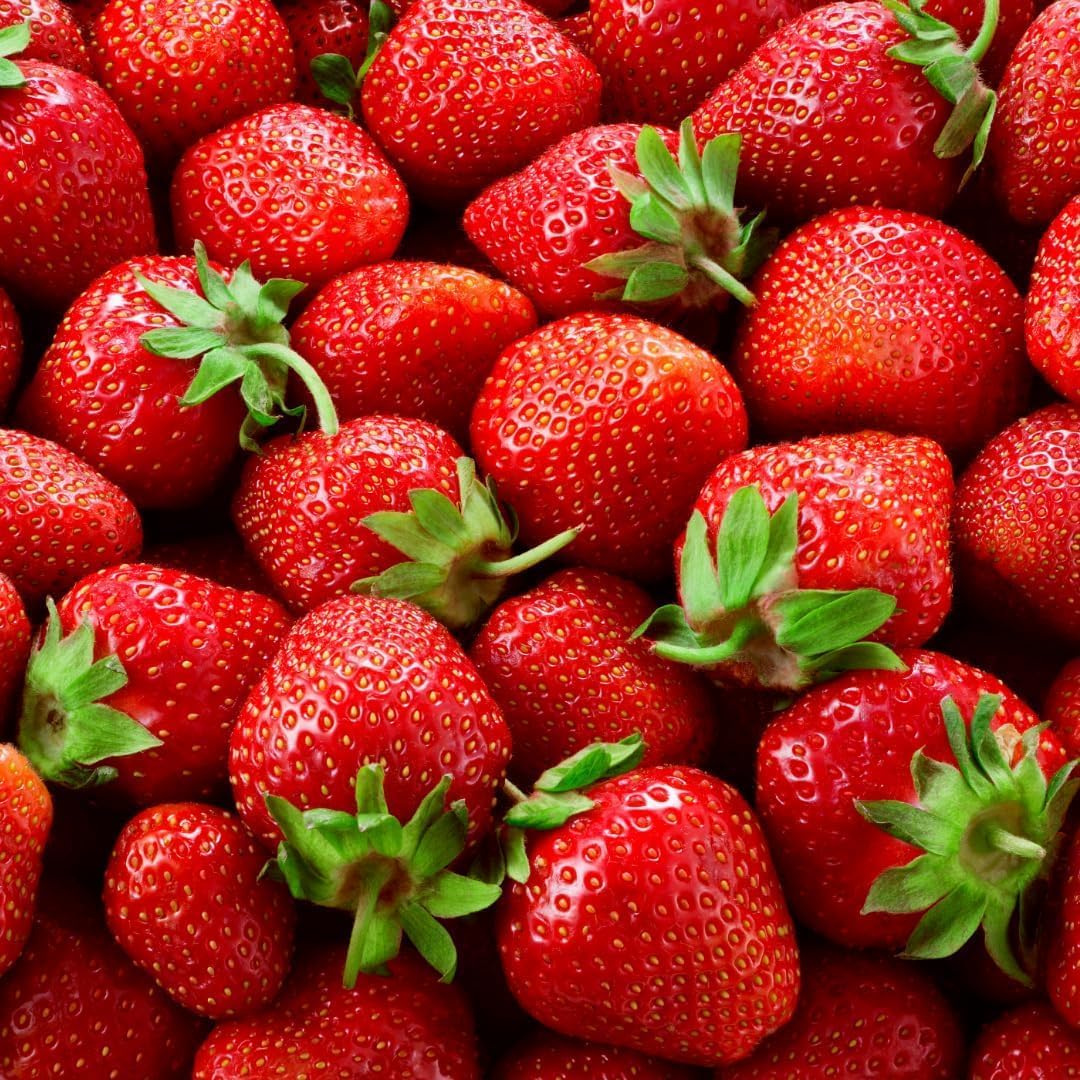 Albion Everbearing Strawberry Plants - Fruit Very Firm, Sweet, High Yields (10 Plants) Can Not Ship to California.