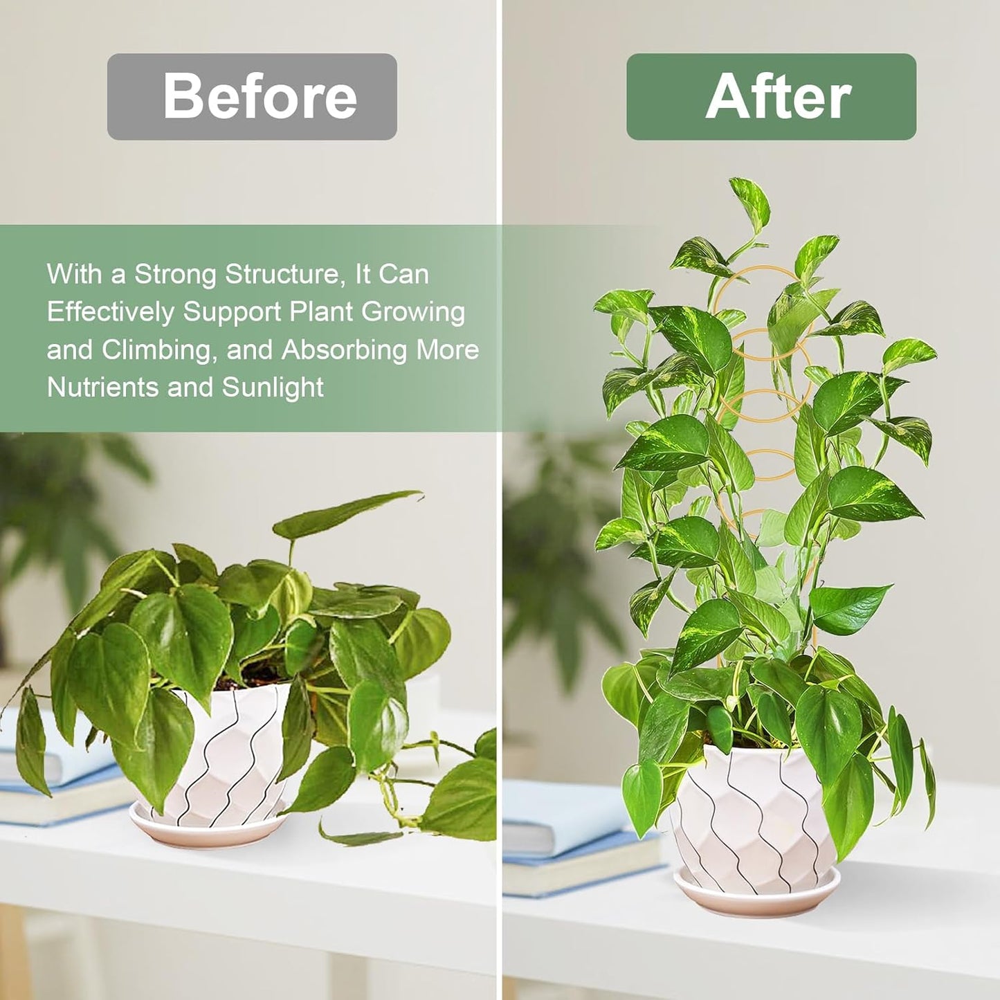 17.5 Inch Indoor Plant Trellis for Climbing Plants,Metal Trellis,Small Garden Trellis for Potted Plants,Plant Stakes for Indoor Plants Accessories Hoya,Flower,Plant Support (Golden-Metal)