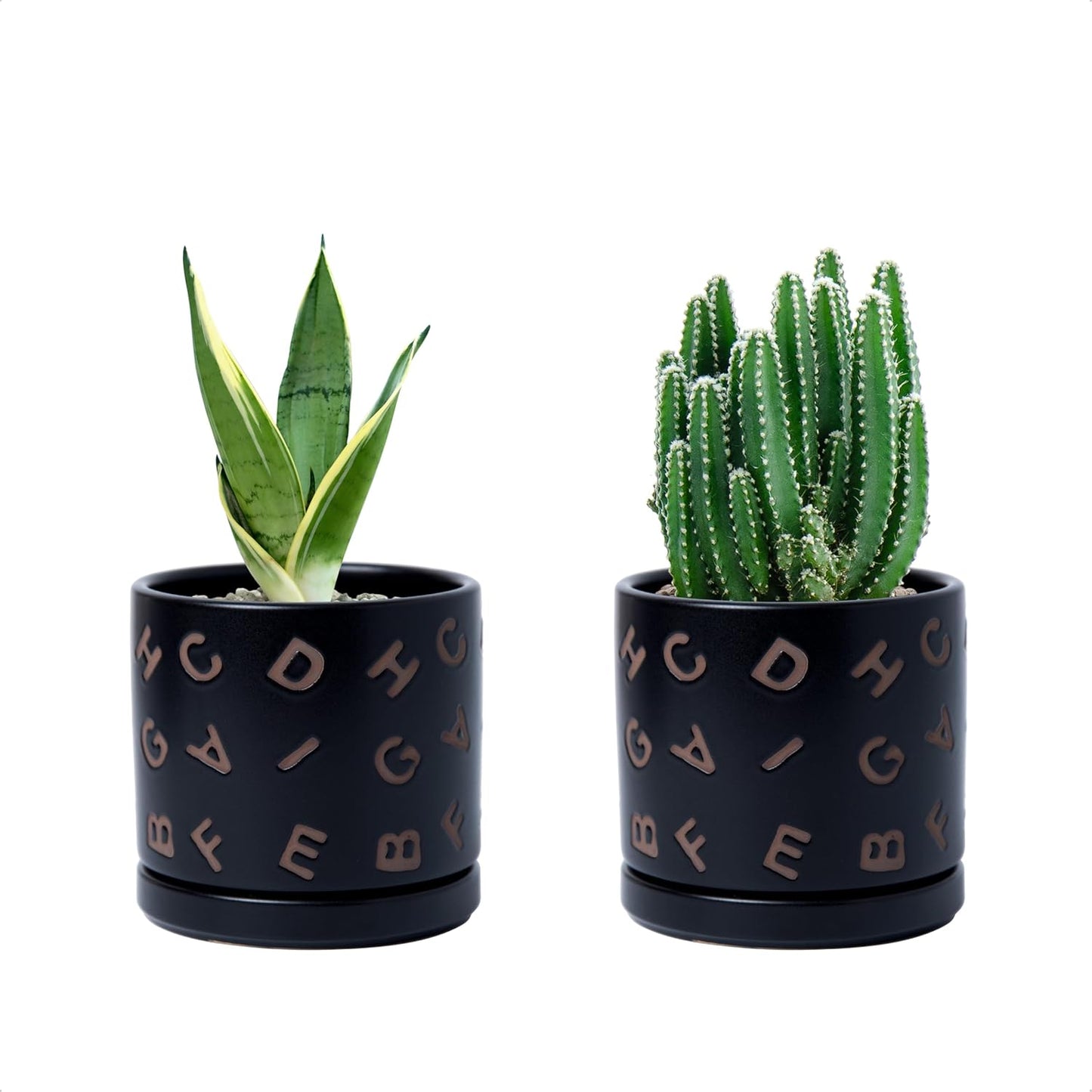 D'vine Dev Set of 2 Ceramic Planter Pots with Drainage Hole and Saucer, 4.5 Inch Plant Pots for Plants Indoor Houseplants, Black, 99-Z-G-2-V