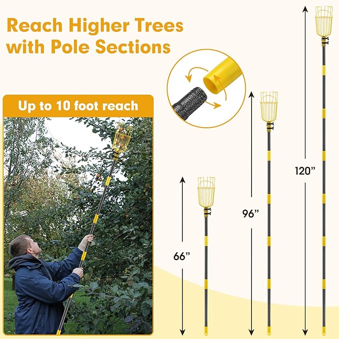 Apple Picker,156 Inch Long Handle Fruit Picker Pole with Basket for High Fruit Tree,Splicing Adjustable Apple Fruit Picker Pole for Pear,Orange,Peach,Lemon,Plum,Mango Tall Trees Fruit Grabber