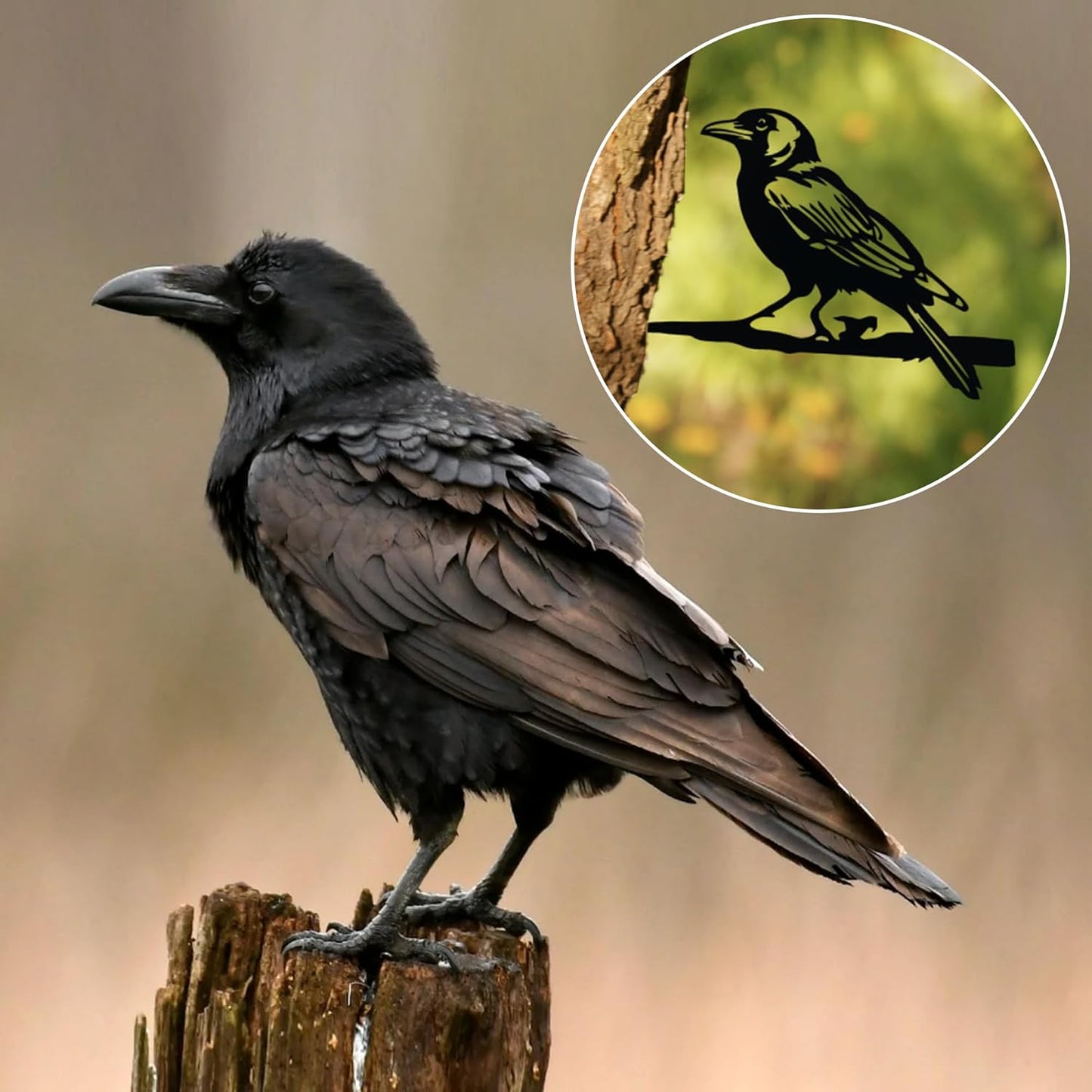 Metal Bird Yard Decor, Enchanting Raven Decoration, Metal Wall Art, Outdoor Garden Statues, The Ideal Gift of Ravens for Dad, Uncle or Grandpa
