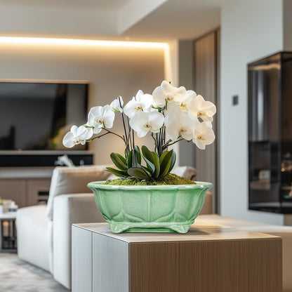 Bonsai Tree Pot - 13.2 Inch Large Ceramic Succulent Planter for Indoor Outdoor, Oval Plant Pot with Drainage Hole, Decorative Flower Pots, Home Decor, Gifts for Plant Lovers, Green