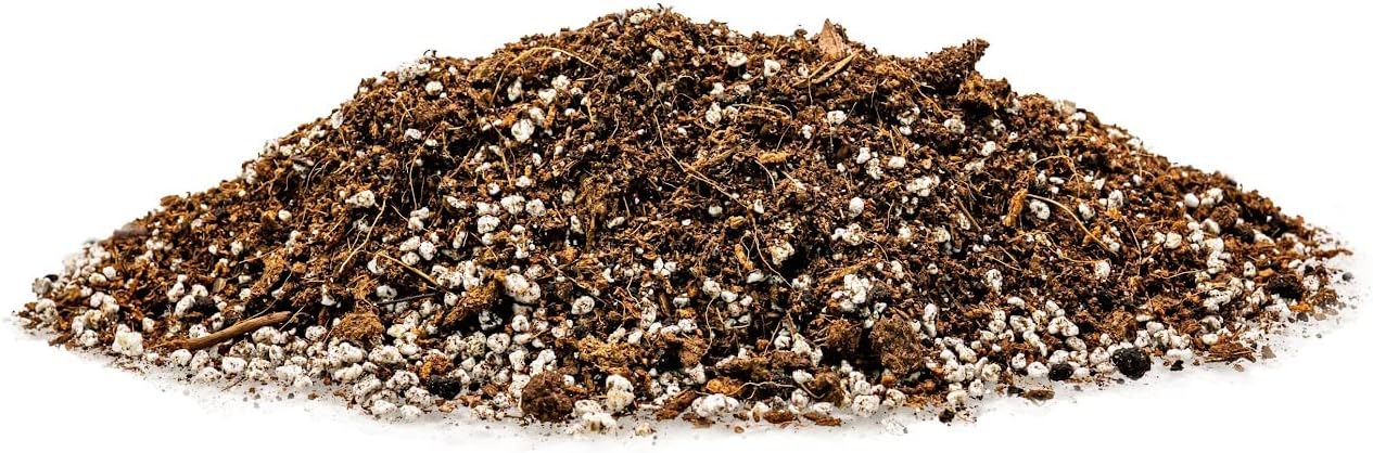 Gardenera Professional Carnivorous Plant Soil - Ready to Use for Venus Flytraps, Sundews, Pitcher Plants, Butterworts | Peat Moss, Coco Coir, Perlite - 1 Quart Bag