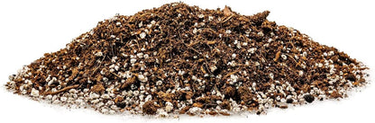 Gardenera Professional Carnivorous Plant Soil - Ready to Use for Venus Flytraps, Sundews, Pitcher Plants, Butterworts | Peat Moss, Coco Coir, Perlite - 2 Quart Bag