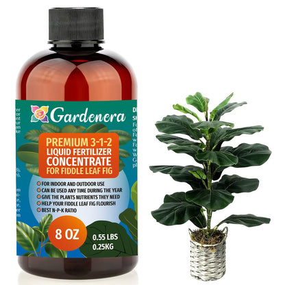 Premium Liquid Fiddle Leaf FIG Plant Fertilizer - 3-1-2 Concentrate for Indoor Plants and Flowers by Gardenera | Organic Plant Food for Fiddle Leaf Fig - 8oz
