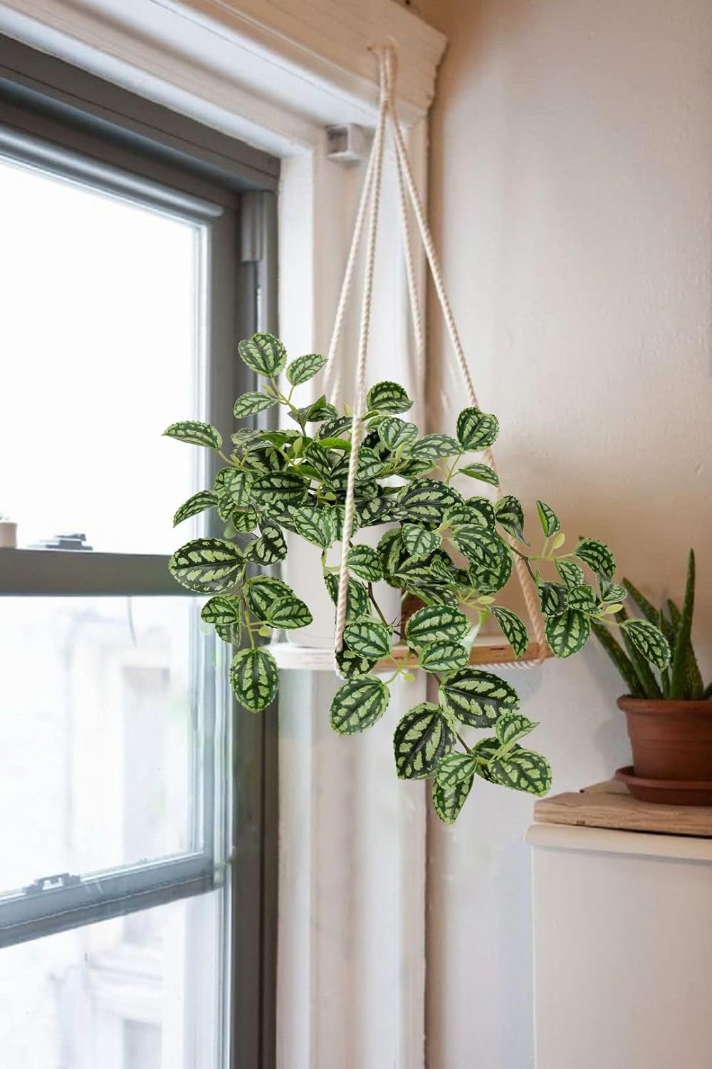 Fake Hanging Plants, 20 Inch Artificial Ivy Plant in Ceramic Pot Faux Watermelon Peperomia Trailing Vine Plant Potted for Home Bedroom Office Table Shef Desk Indoor Outdoor Decor Green