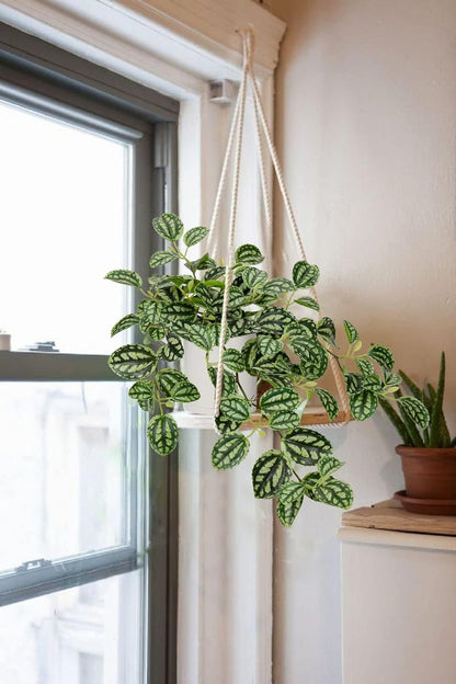 Fake Hanging Plants, 20 Inch Artificial Ivy Plant in Ceramic Pot Faux Watermelon Peperomia Trailing Vine Plant Potted for Home Bedroom Office Table Shef Desk Indoor Outdoor Decor Green