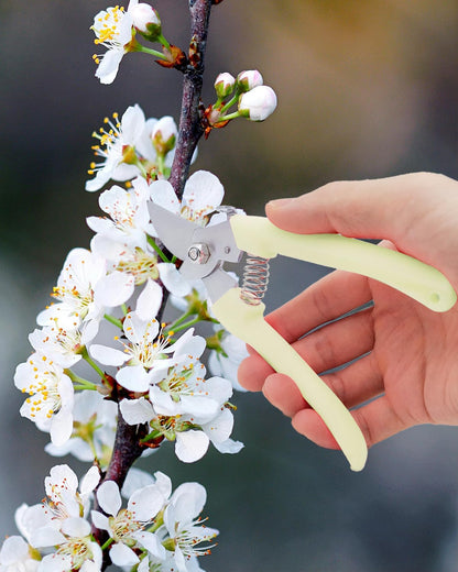 Pruning Shears for Gardening, 2 Pack Garden Scissors for Cutting Fresh Flowers, Floral Clippers for Plants, Fruits (Yellow)