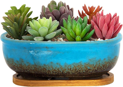 Succulent Pots, 7.9 Inch Long Rectangular Succulent Planters with Drainage Tray, Shallow Planters for Indoor Plants Ceramic Cactus Pots Glazed Bonsai Flower Plant Container for Home Windowsill Decor