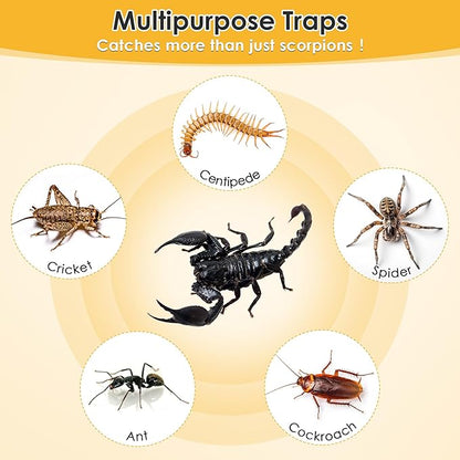 Qualirey 12 Scorpion Glue Tray Traps, Adhesive Scorpion Killer Indoor, Pet and Children Safe, Scorpion Repellent, Insect Traps Indoor, Sticky Bug Catcher for Basement, Bathrooms and Garage