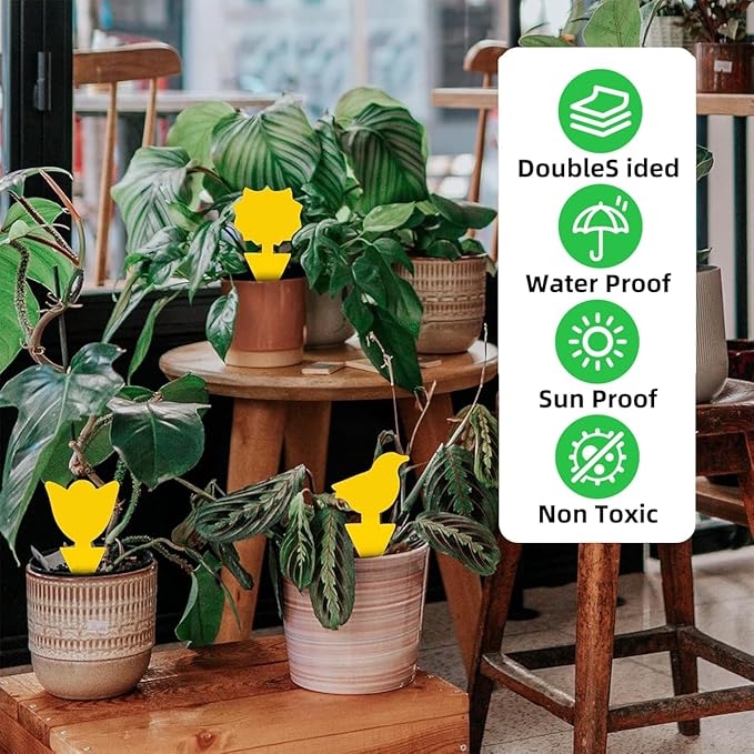 36 Pcs Classic Sticky Traps for Fungus Gnat (Plants), Fruit Fly, Whitefly, and Fly, Yellow Sticky Insect Catcher Traps for Indoor/Outdoor, Kitchen, and Plants, High-End Glue, Non-Toxic, 4 Shapes