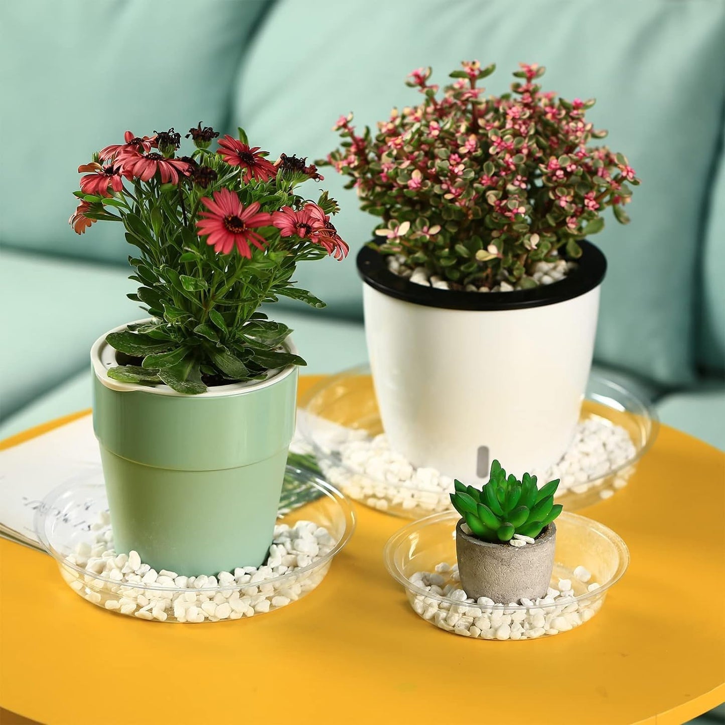 30 Packs 18" Extra-Large Clear Plant Saucers for Indoor Outdoor Use Heavy Duty Plastic Plant Trays for Planter Bulk Flower Pot Drip Trays to Catch Water, 4 to 20 Inch