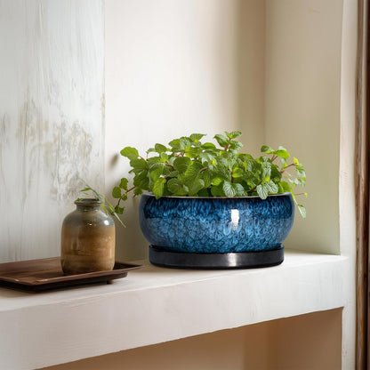 Bonsai Pots 8 Inch - Ceramic Succulent Planter for Indoor Outdoor, Round Bonsai Planter with Drainage Hole and Saucer, Shallow Ceramic Planters Bowl, Patio Decor, Housewarming Gift, Blue