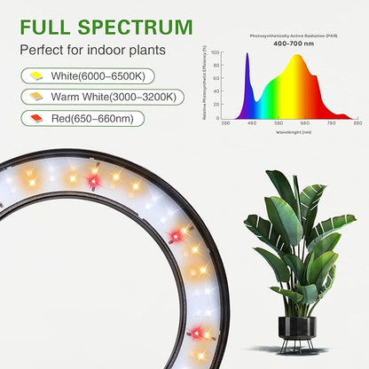 Full Spectrum Grow Light with Stand for Indoor Plants, Floor Plant Light, 3/9/12H Timer, 3 Color Modes, Adjustable Height 16.5–67in, for Large Plants & Home Décor(1 Head)