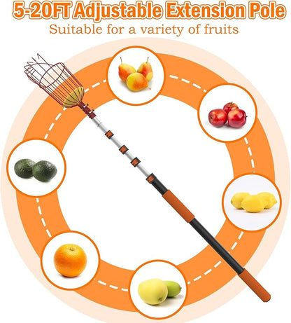 SISIUPASSIE 26FT Reach Fruit Picker, Apple Picker Pole with Basket Telescoping Tool for Apple Lemon Orange Mango Avocado Fruit Tree Picking