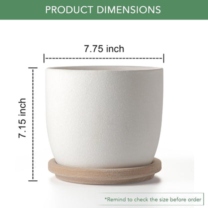 Ceramic Flower Pots Indoor-Outdoor: 7.75 Inch Large Planters with Drainage Holes & Saucer - Modern Decorative Plant Pots Ceramic for Home Gardeners (White)