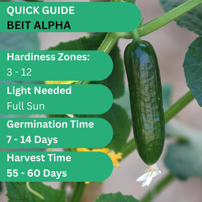 Woods Creek Seeds: Beit Alpha Cucumber Seed CMR/MMR for Planting - Over 90 Heirloom Seed Pack - Non-GMO Pickling Cucumber Seeds for Planting Indoors or Outdoors