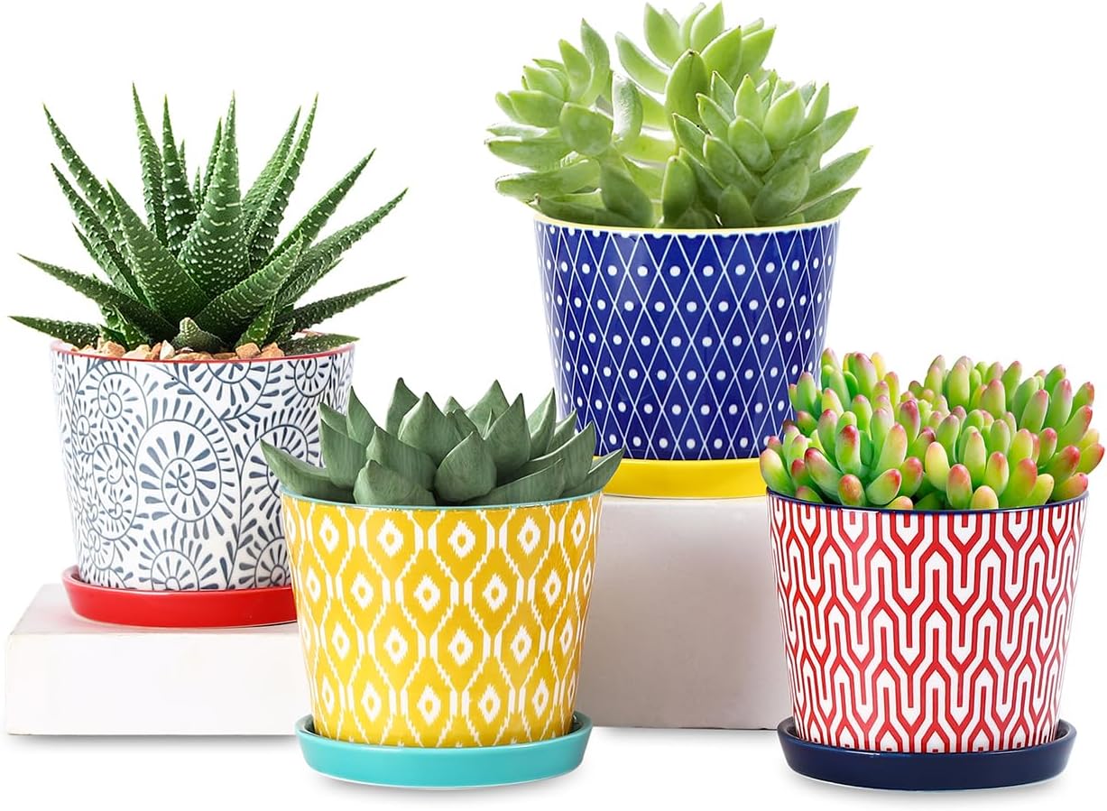 Selamica Ceramic Succulent Pots, 4.3 Inch Small Plant Pots with Drainage Holes and Saucers, Small Flower Pots for Succulent, Cactus, Home Decor, Set of 4, Assorted Colors