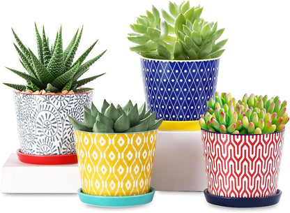 Selamica Ceramic Succulent Pots, 4.3 Inch Small Plant Pots with Drainage Holes and Saucers, Small Flower Pots for Succulent, Cactus, Home Decor, Set of 4, Assorted Colors