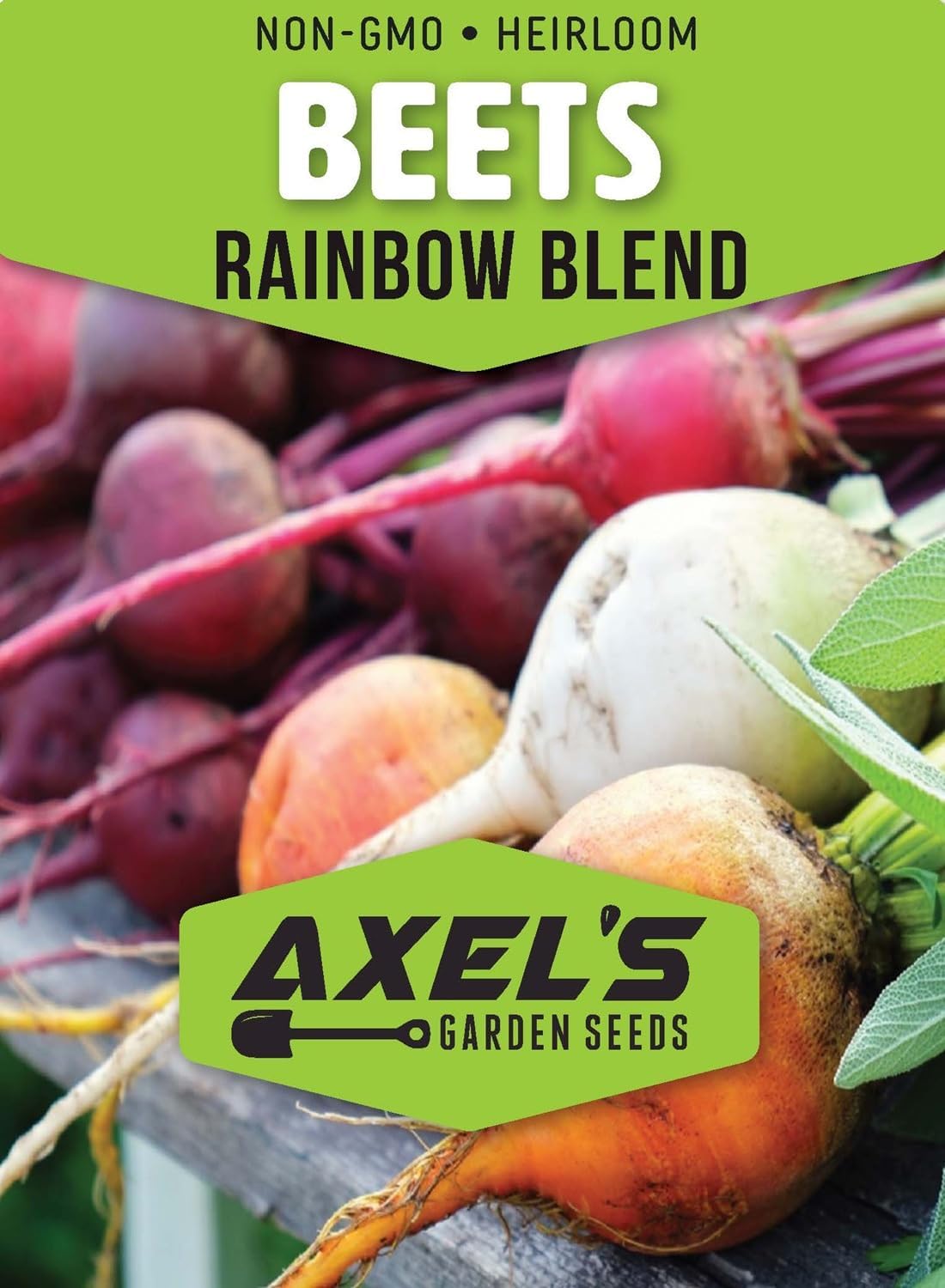 Rainbow Blend Beets for Planting – Plant & Grow Heirloom Rainbow Beets in Home Outdoor Vegetable Garden, Beta vulgaris – 1 Packet Approx 50 Seeds