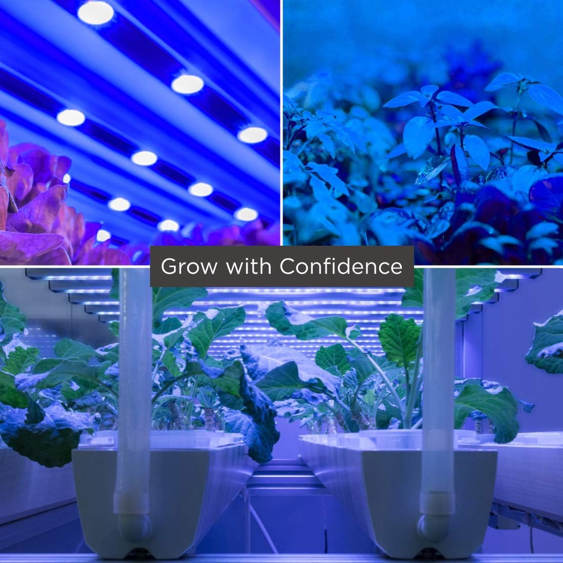 GoodBulb 75W Plant Grow Light Bulb Blue Grow Light R30 Shape & E26 Base High Output Grow Light Ideal for Indoor Plants Seeds Veg and Flower Pack of 20 Bulbs