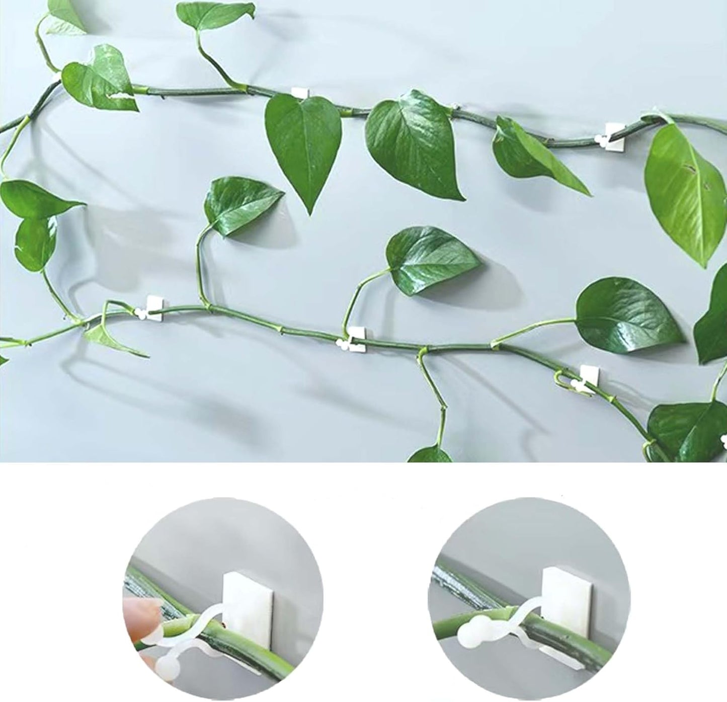 100Pcs Plant Vine Wall Clips Hooks for Climbing Plants, Invisible Self-Adhesive Plant Climbing Fixture Fixer Holder Wall Vine Hanging Clip Indoor Outdoor Cable Wire Fixing