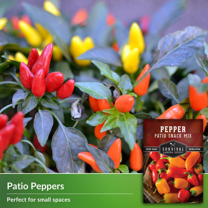 Patio Snack Mix Mini Sweet Pepper Seeds for Planting | Compact Lunchbox-Style Heirloom Variety – Non-GMO Container Garden Peppers – Survival Garden Seeds (1 Pack)