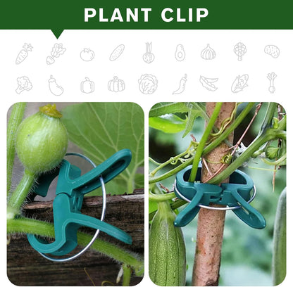 Plant Clips for Climbing Plants, Tomato Clips and Garden Clips for Vine Support, Plant Support Clips for Tomatoes and Garden use(Green, 60 Big)