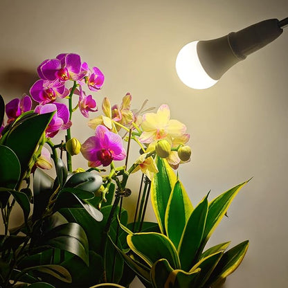 LED Grow Light Bulb A19 - Full Spectrum E26 Base, 11W (100W Equivalent) for Indoor Plants, Flowers, Greenhouse - 2 Pack