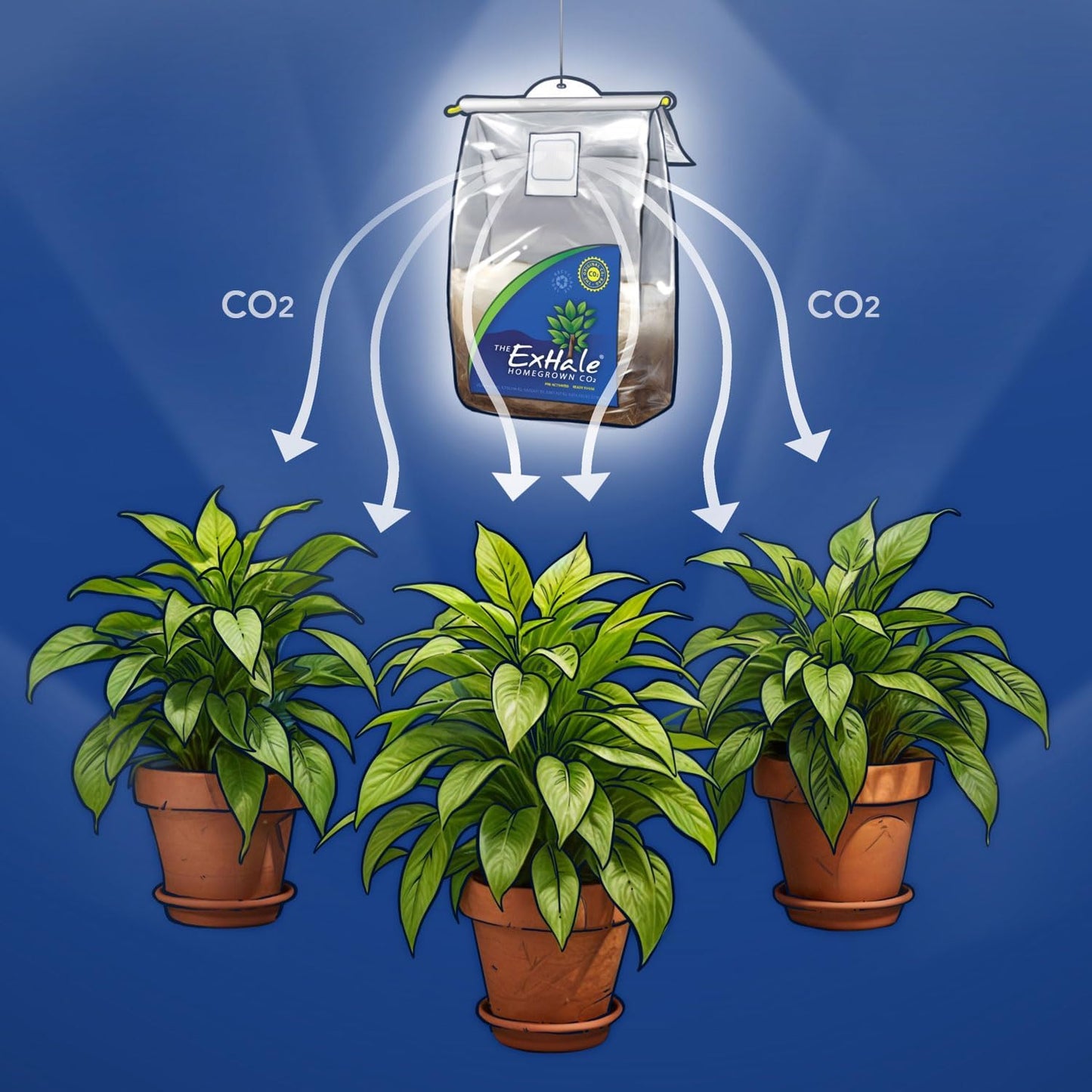 Exhale Homegrown CO2 MAX - Largest CO2 Bags for Indoor Grow Rooms & Grow Tents - Foliage Mushroom Bags (2 Pack)