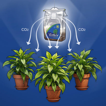 Exhale Homegrown CO2 MAX - Largest CO2 Bags for Indoor Grow Rooms & Grow Tents - Foliage Mushroom Bags (2 Pack)