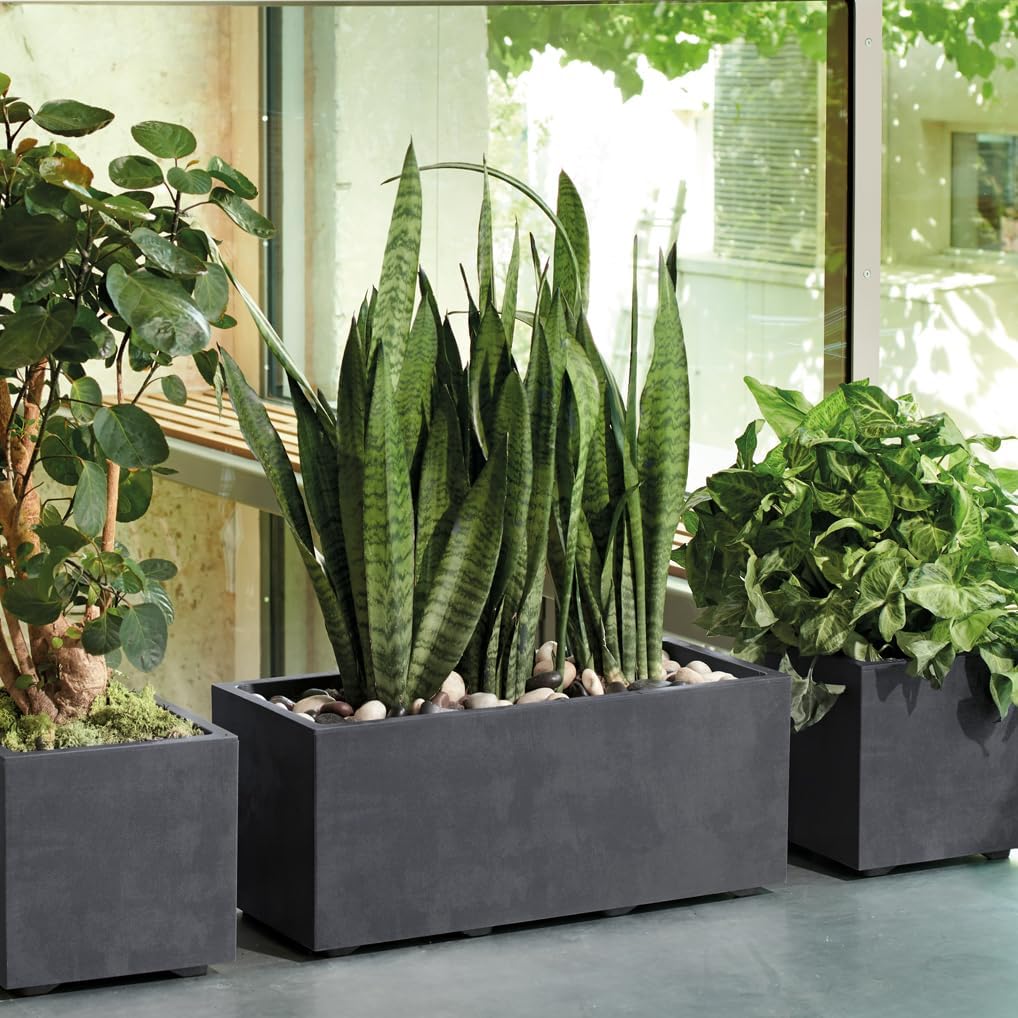 Deroma Millennium 15” Cube Planter | Light & Durable Plastic | Indoor or Outdoor Square Pot for Patio/Porch | Includes Water Reserve & Drain Plug | Trendy Planter for Plants, Flowers, Garden | Black