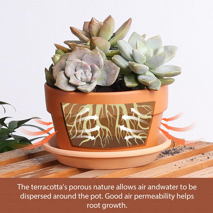 INGOFIN 5 Inch Terracotta Shallow Pots Set with Saucer - Ceramic Clay Pots with Drainage Hole