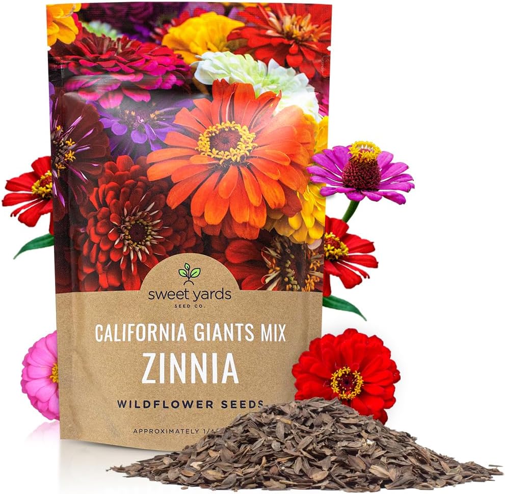 Bulk Zinnia Seeds - California Giants Mix - Bulk 1/4 Pound Bag Over 12,000 Flower Seeds - Mixed Colors and Large Blooms