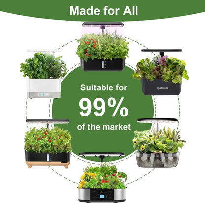 Gourmet Herbs Seed Pod Kit for AeroGarden, iDoo, Ahopegarden, MUFGA Hydroponics Garden with Basil, Parsley, Thyme, Mint, Cilantro, Dill, Oregano - Compatible with All Hydroponics (12-Pod)