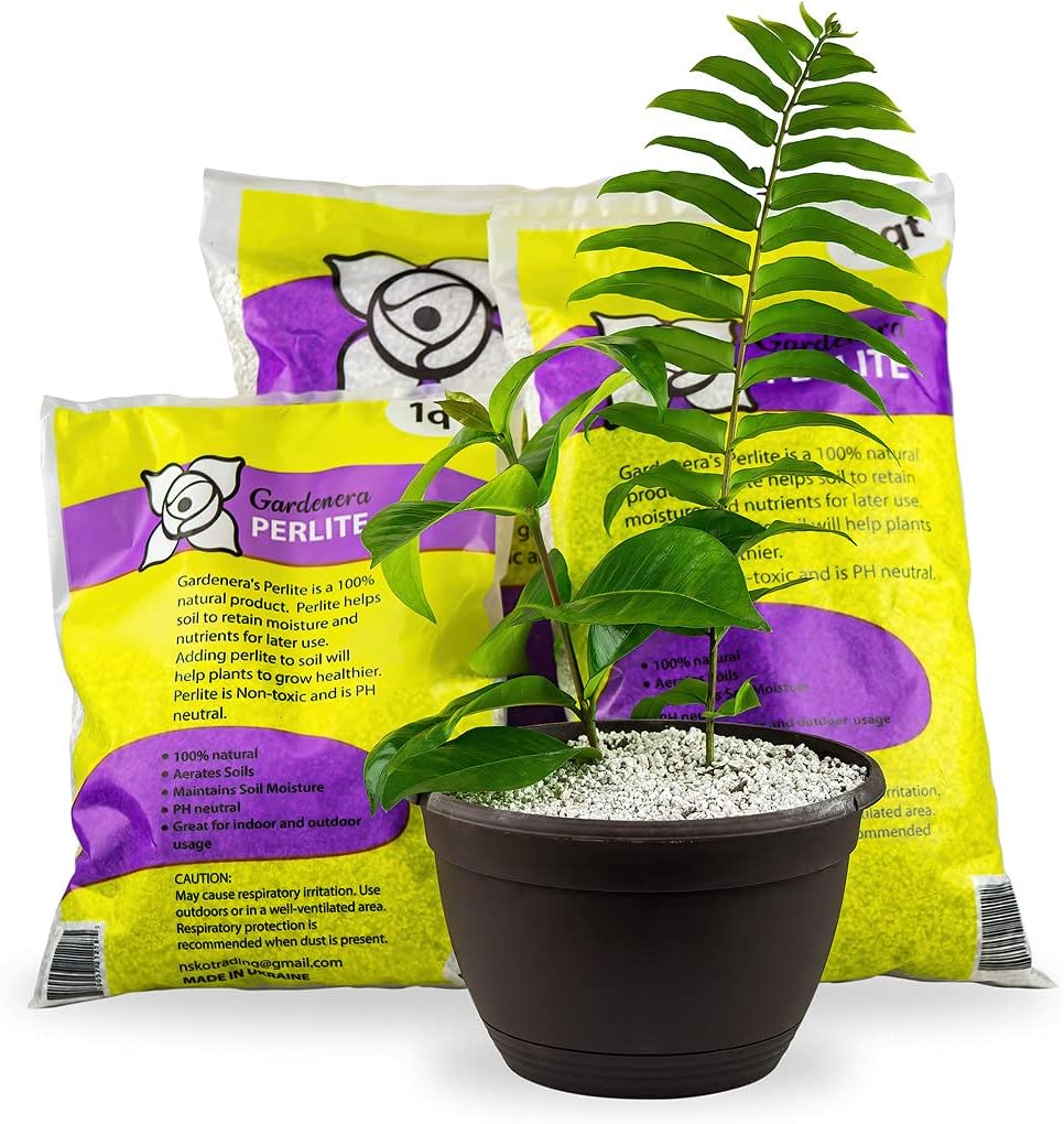 Premium Organic Perlite - (Made in Ukraine) Horticultural Soil Amendment for Indoor & Outdoor Container Plants for Drainage Management and Enhanced Growth - 1 Quart