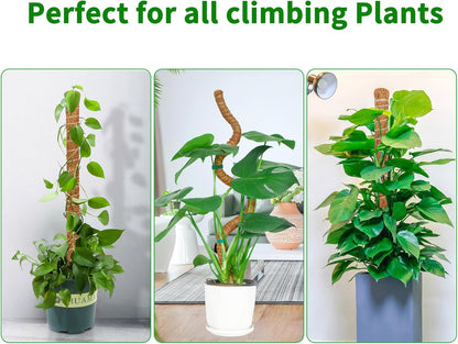 4 Pack 39 Inch Moss Pole Monstera Plant Support, Coir Moss Poles for Climbing Indoor Plants, Bendable Plant Stake Trellis for Potted Plant, Pothos, Philodendron