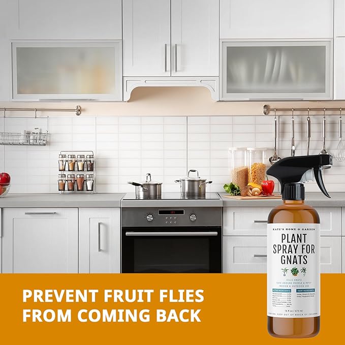 Kate's Home & Garden Plant Spray for Insects & Getting Rid of Gnats with 12 Sticky Traps. Fungus Gnat Killer & Bug Spray for Indoor Plants (16oz, Cedarwood, Pet Safe, Non Toxic)